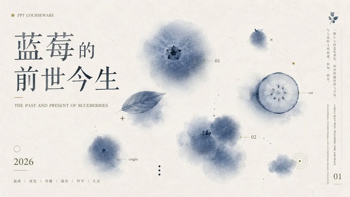 信息图 / 教育视觉图 - 蓝莓课件封面 Slides