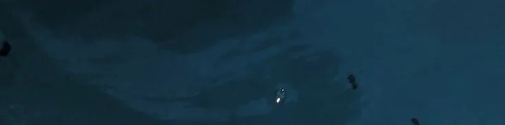 碧海仰拍：比莉艾利什的夏日自拍